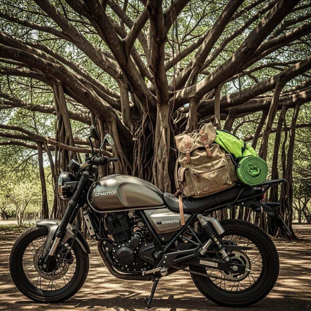 CFMoto 300SS parked under a large banyan tree.