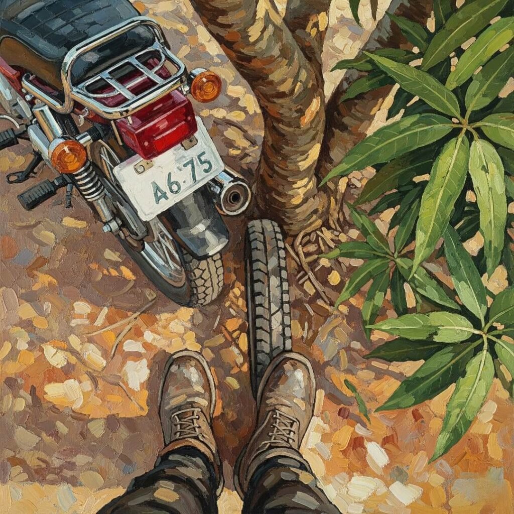 Overhead view: boots, bike, and mango tree.